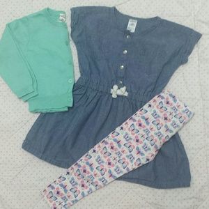 Carter's Tunic and Cardigan Set